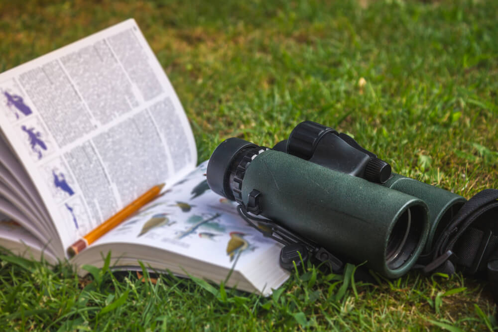 A Wisconsin birding guide and binoculars sit on green grass.