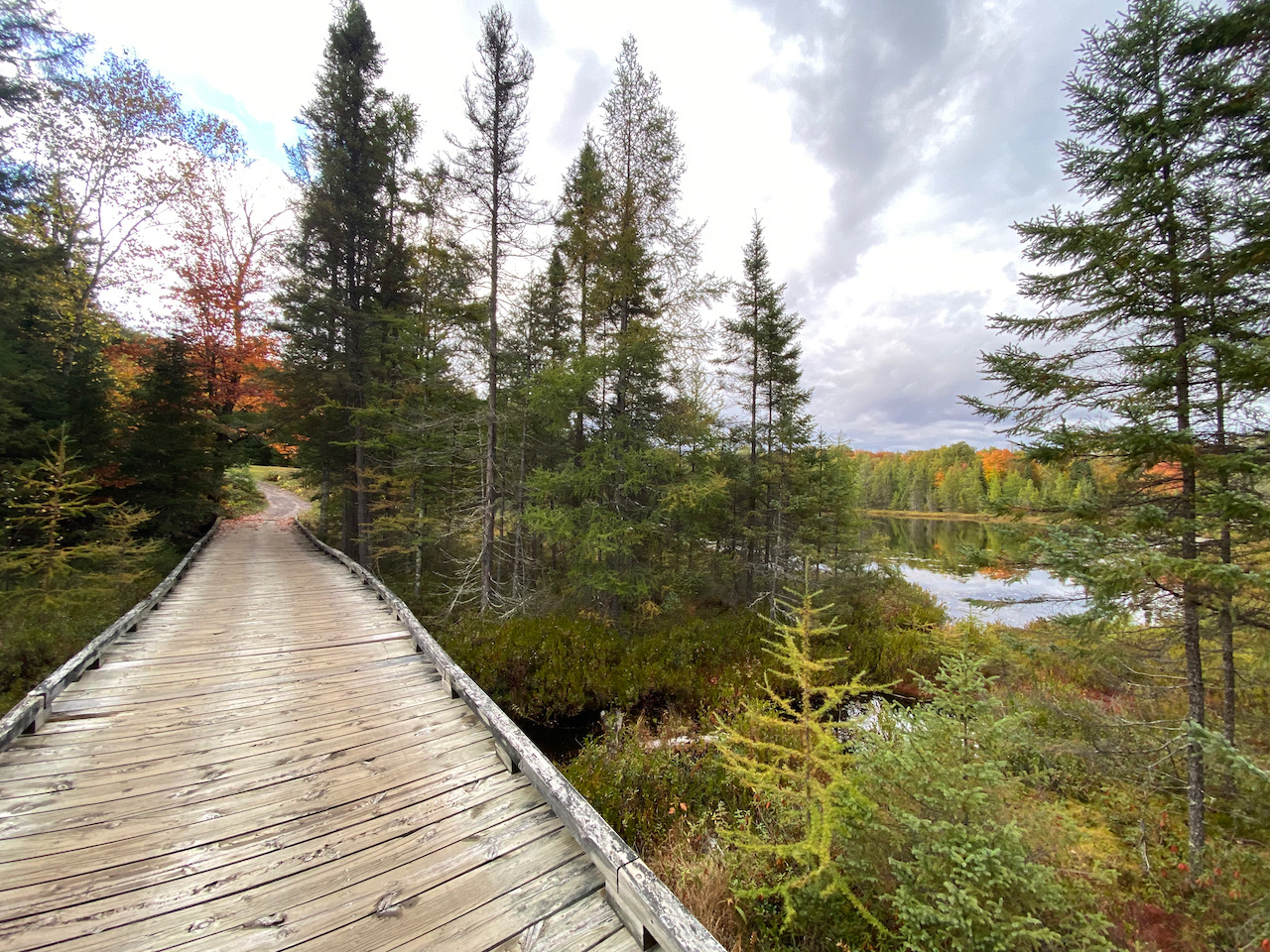 Lakewoods wooden bridge trail.
