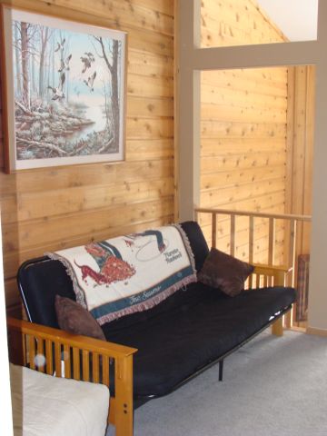 Home loft with futon