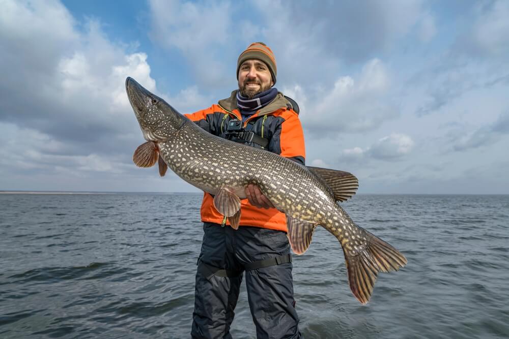 Lake Namakagon Is a Premier Fall Musky Fishing Destination